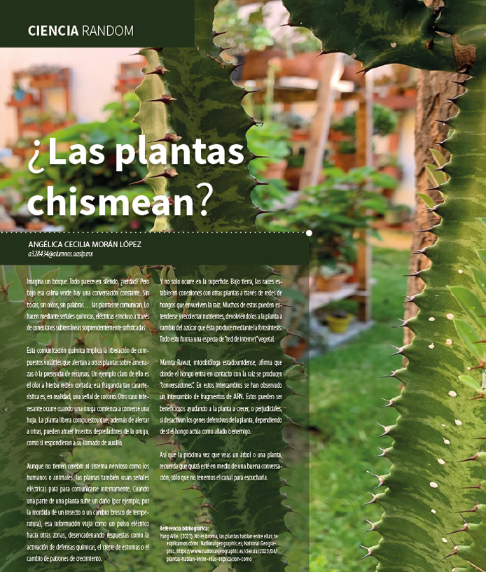 Imagen de portada