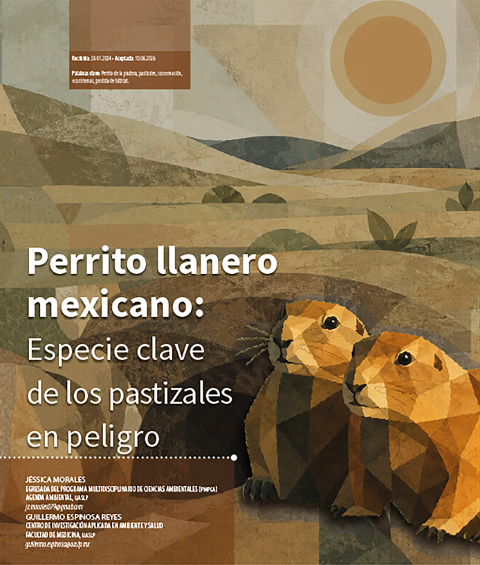 Imagen de portada