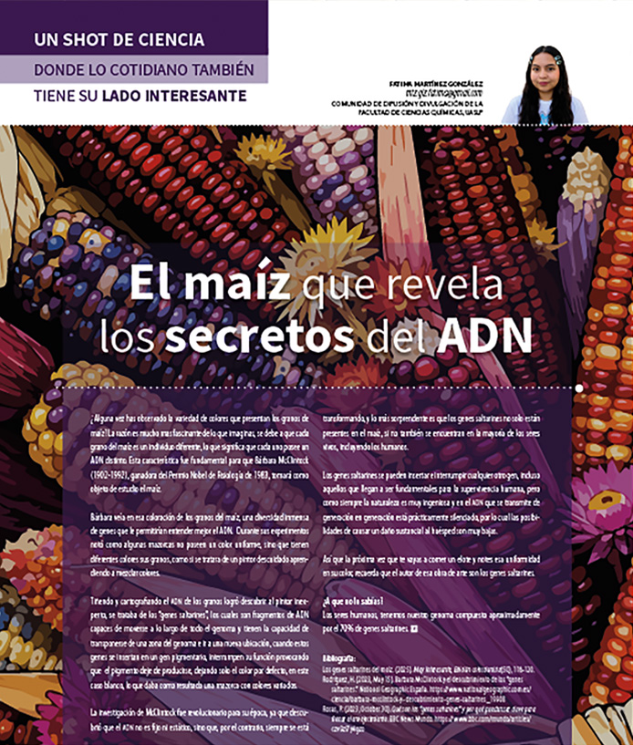 Imagen de portada