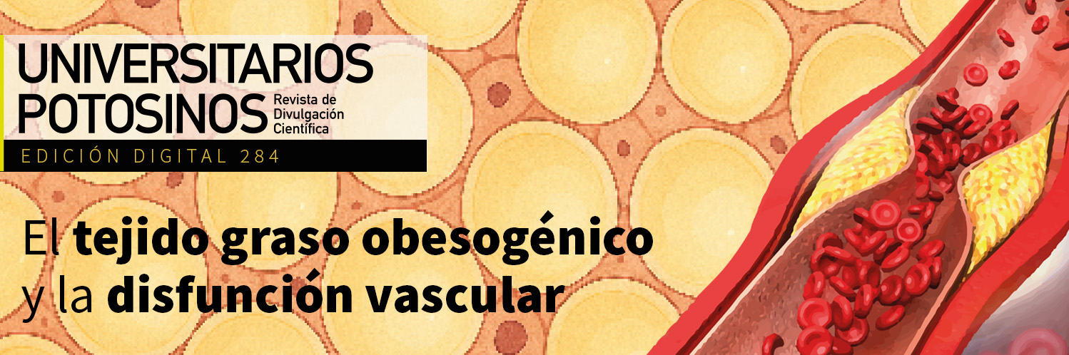 Logo del Encabezado de la Página